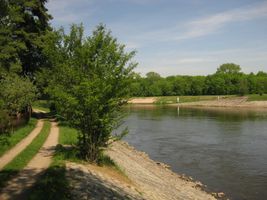 Labe 20-pod elektrárnou v Hradištku-5.5.12 (3).JPG